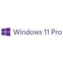 Microsoft Windows 11 Pro (DSP 64bit 한글) 썸네일