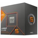 AMD 라이젠5-5세대 8600G (피닉스) (정품) 썸네일