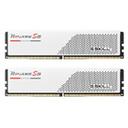 G.SKILL DDR5-5200 CL40 RIPJAWS S5 J 화이트 패키지 (48GB(24Gx2)) 썸네일