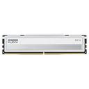 ESSENCORE KLEVV DDR5-5600 CL30 FIT V (16GB) 썸네일
