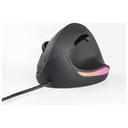 다얼유 LM121 버티컬 인체공학 마우스 썸네일