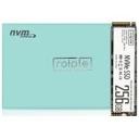 디오테라 ROIPLE Ray M.2 NVMe (256GB) 썸네일
